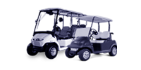 Electric Golfcarts