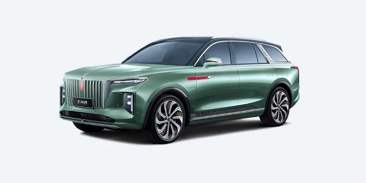 Video Review on HongQi E-HS9 6 seats TOP