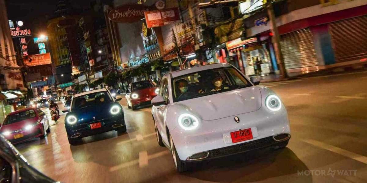 Ora Good Cat Video Overview