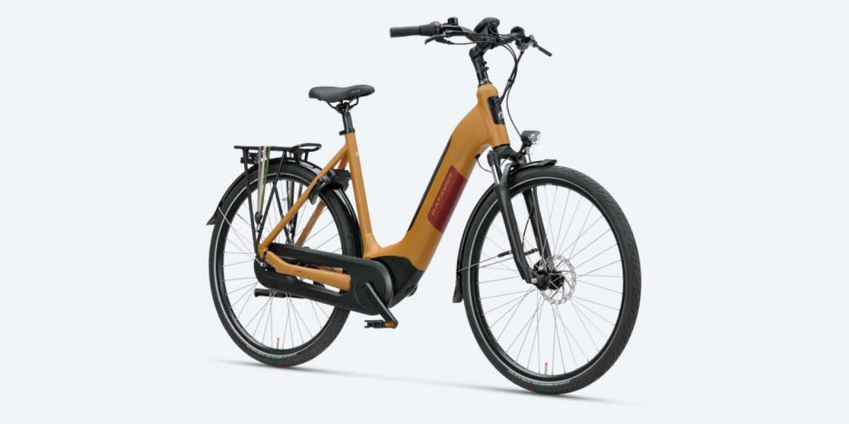 Batavus Altura E-go Power Pro Video Overview