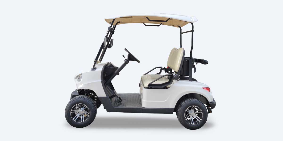 Alwayz 2 seater Golf Cart review