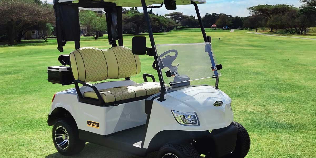 Marshell 2 Seater Golf Cart DG M2 review