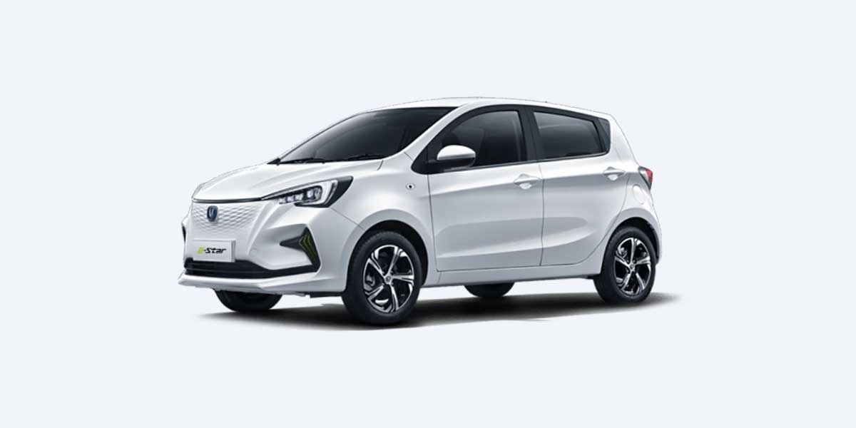 Video Review on Changan Benben E-Star