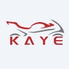 Wuxi-Kaye-logo-new